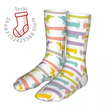 Модни Чорапи-Мъжки, Дамски Ежедневни Чорапи за кучета Dashund Графични Чорапи Четырехсезонные универсални
